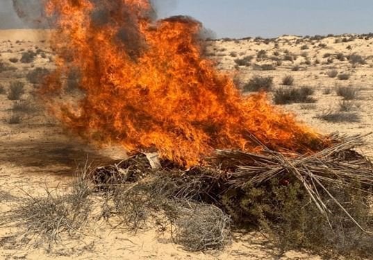 مكافحة المخدرات