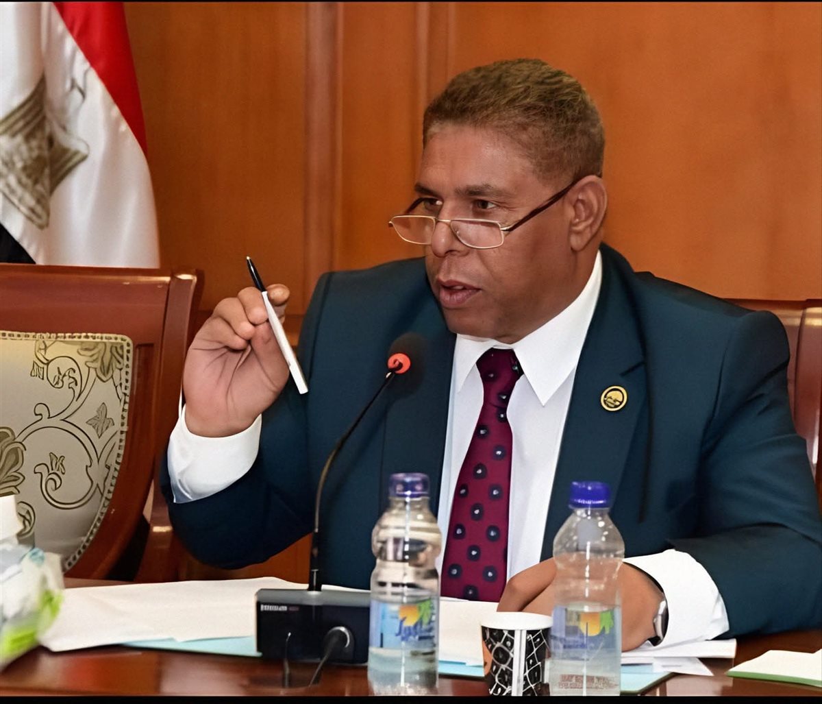 النائب سيد عوض