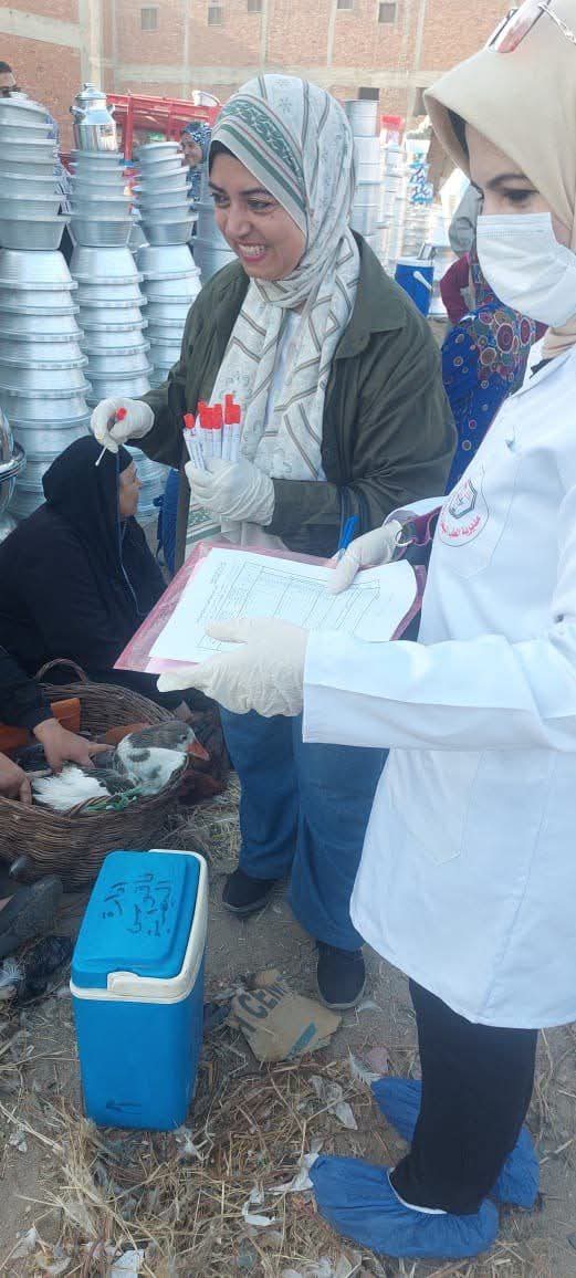 محافظة الشرقية