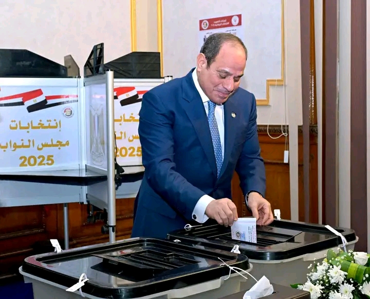 الرئيس السيسي&nbsp;