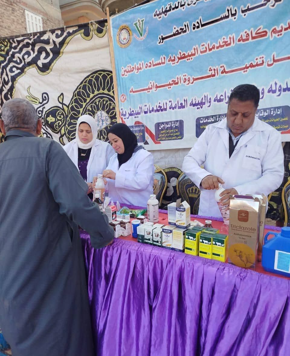 مديربة الطب البيطري بالدقهلية تنظم قافلة بيطرية بقرية الأورمان مركز السنبلاوين