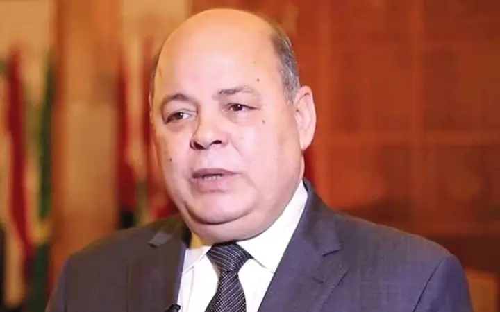 الدكتور محمد صابر عرب، وزير الثقافة الأسبق