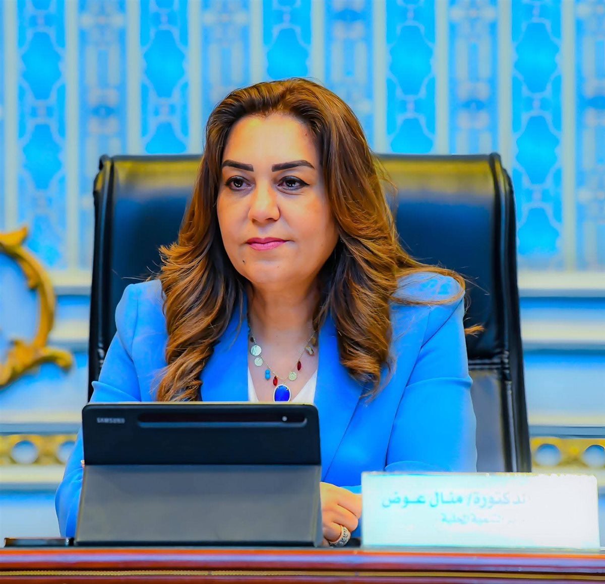 وزيرة التنمية المحلية تهنئ الرئيس السيسى بالعام الميلادي الجديد