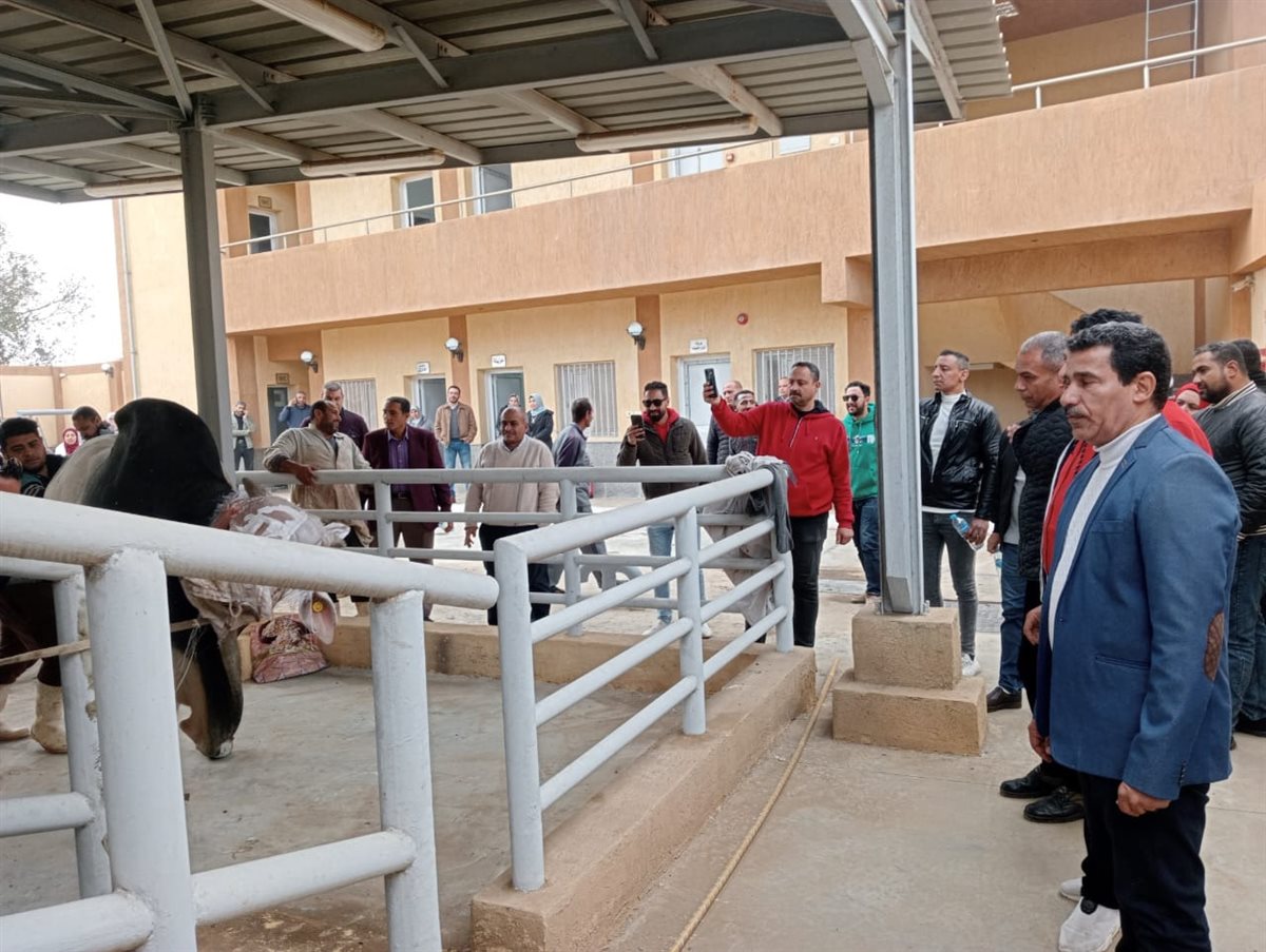 محافظ المنوفية يتابع آليات التشغيل التجريبي لمجزري شبين الكوم وجنزور ببركة السبع باستثمارات تزيد عن 75 مليون جنيه