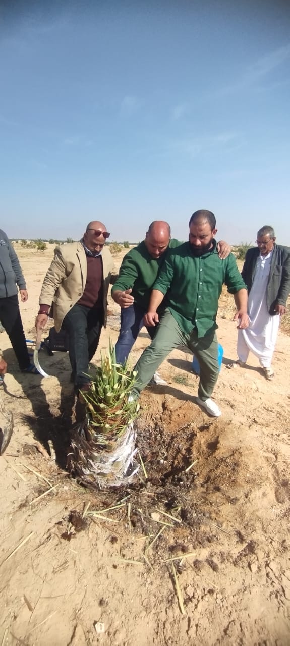 جولة ميدانية لمتابعة مكافحة سوسة النخيل الحمراء بوادي الطور