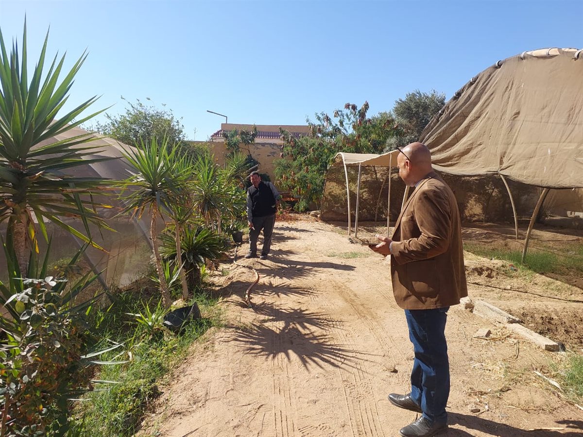 انطلاقة جديدة لتطوير الوحدة البستانية بجنوب سيناء مع مطلع العام الجديد