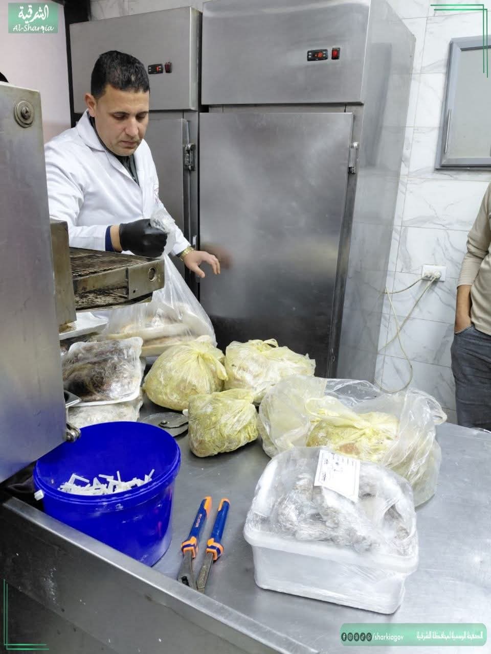 ضبط 2 طن لحوم وأسماك فاسدة بالشرقية&nbsp;