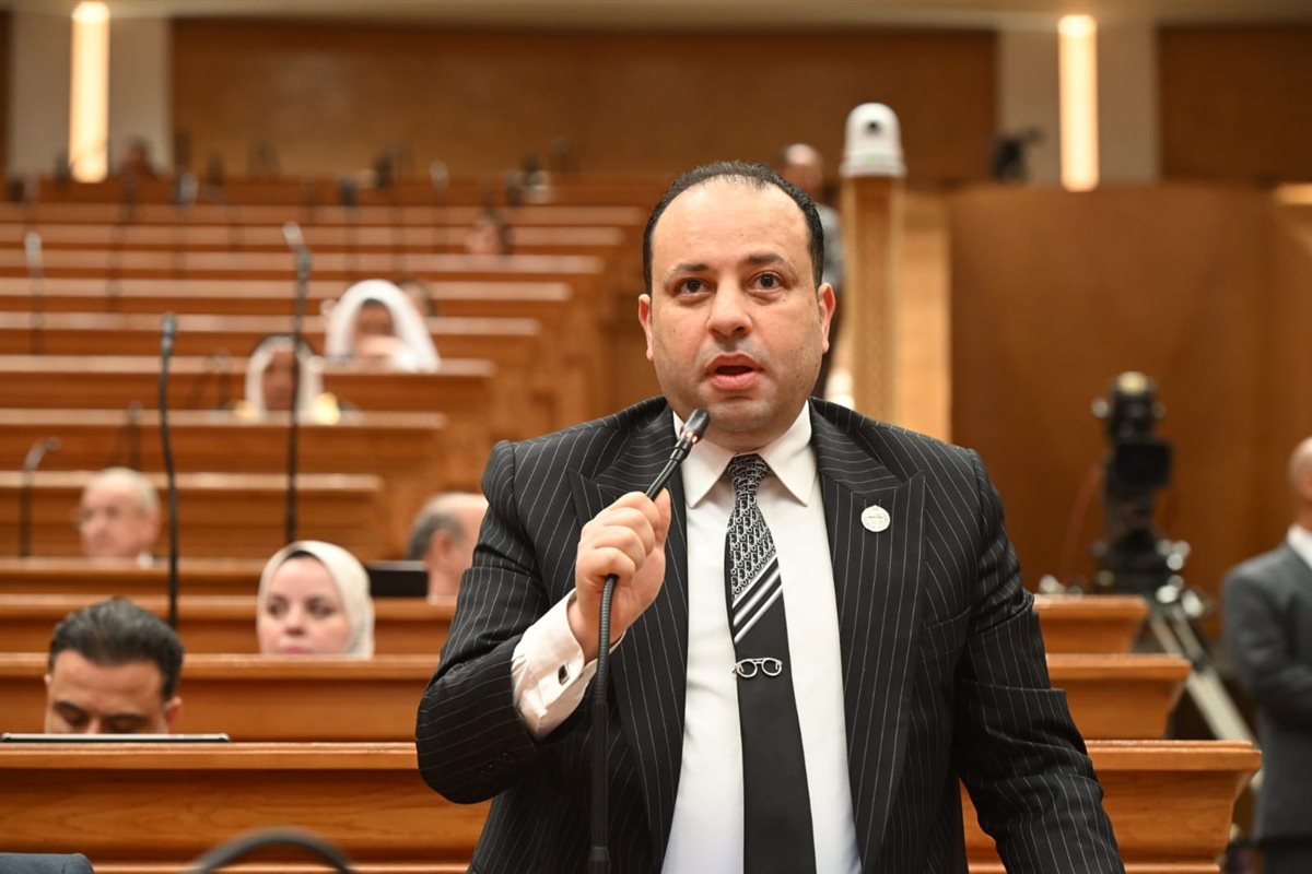 النائب وليد خطاب: جهود مصر الدبلوماسية تثبت دورها كلاعب رئيسي في الاستقرار الإقليمي