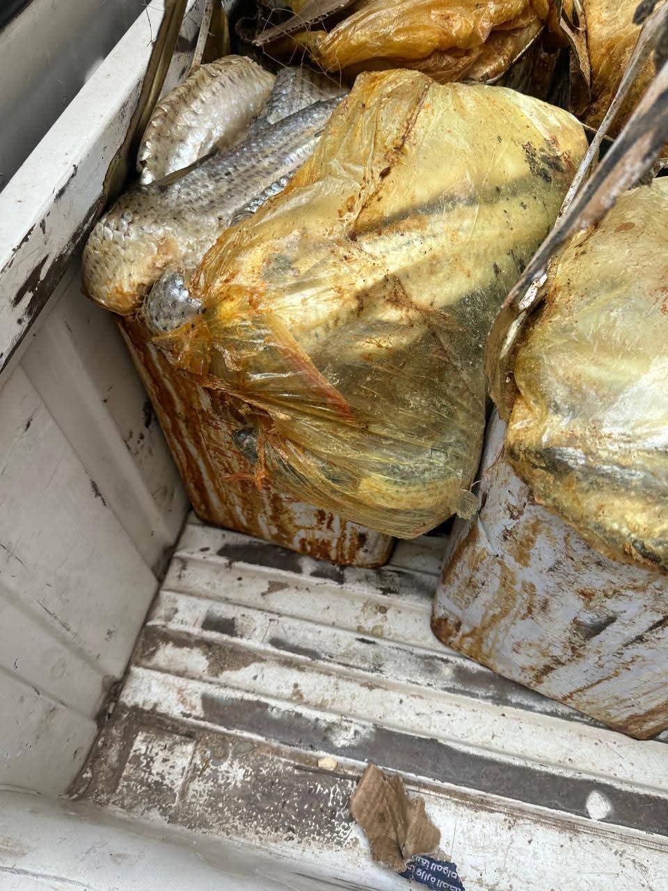 حملات مكثفة بأسيوط لضبط الأسواق والتصدي للأغذية الفاسدة حفاظًا على صحة المواطنين