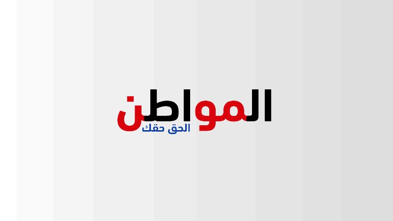 برلمان شباب المنيا