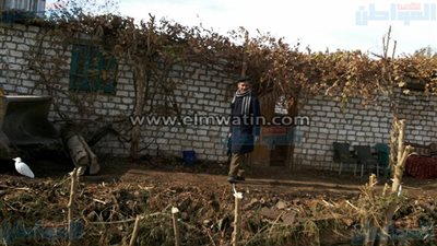 صور تأمين تنفيذ 