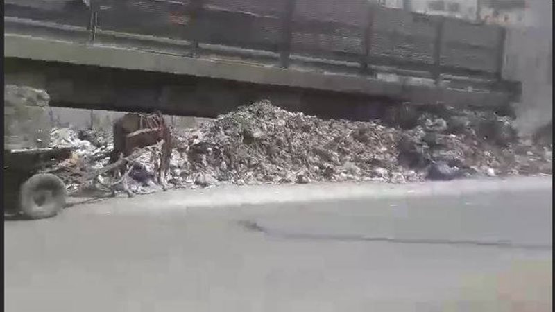 السيارة البيضاء والعربة