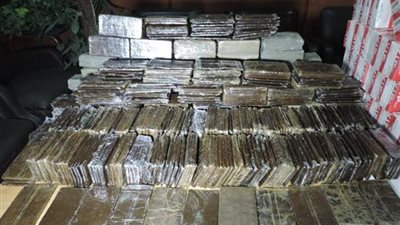 سقوط عصابة 
