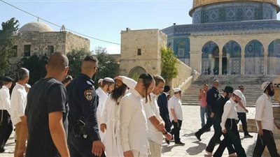 اليهود يدنسون القدس بشعائر تلمودية.. ومستوطن يتهكم على المسلمات داخل الأقصى