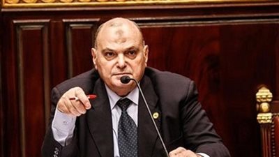 فيديو| دفاع البرلمان: السيسي هو السلاح الذي يصفع الإرهاب 