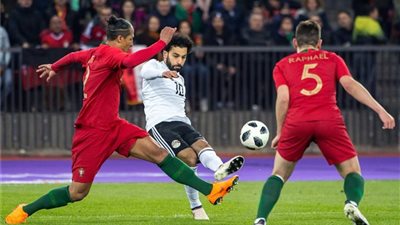 حنان ترك وأنغام: محمد صلاح فخر العرب