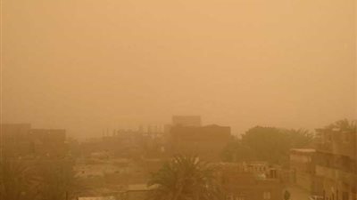 الوادي الجديد ترفع درجة الاستعداد القصوى لمواجهة العواصف الترابية