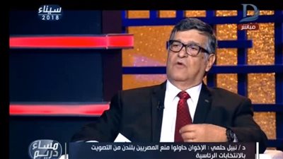 فيديو| نبيل حلمي: أعداد المصريين في الخارج 3 أضعاف المشاركين في انتخابات 2014