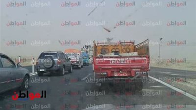 صور| مدير أمن الوادي الجديد: غلق 4 طرق بسبب العواصف الترابية 