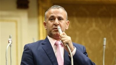 برلماني لـ
