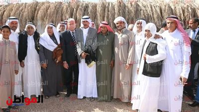 أبو مشغل: مشاركة كبيرة لأهالي فيران والتجمعات البدوية في الانتخابات المصرية
