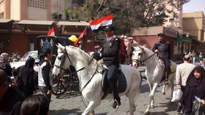 انتخابات الرئاسة 2018.. الخيول والجمال تشعل شارع المعز احتفالًا بالعرس الديموقراطي