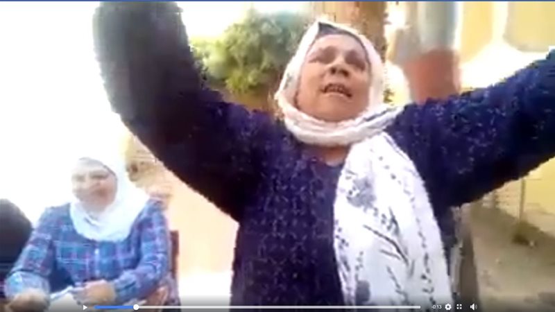 سيدة تحتفل بالانتخابات