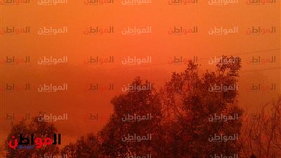 صور| العاصفة الترابية تتسبب في غلق 5 طرق وقطع الكهرباء بالوادي الجديد