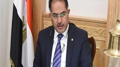 وكيل النواب لـ