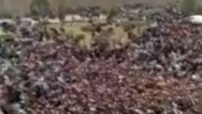 فيديو| 
