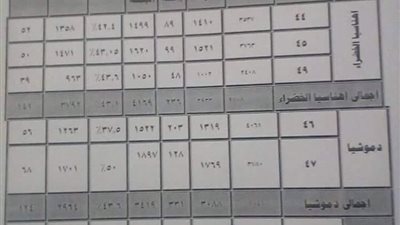 السيسي يحصل على 9568 صوت وموسى 314 صوتا في قروي أهناسيا الخضراء ببني سويف 