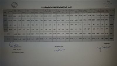 مؤشرات أولية .. السيسي يكتسح نتائج اللجنة العامة بمركز إدكو في البحيرة