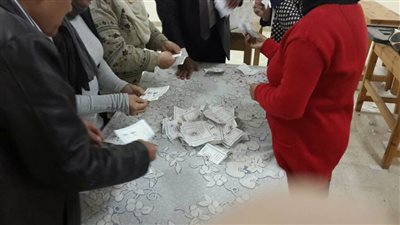انتخابات الرئاسة المصرية| نتيجة فرز لجان 12 مركز ومدينة بالدقهلية 