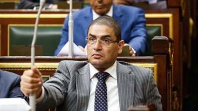 محمد أبو حامد: نجاح الانتخابات المصرية 2018 يثبت أن الشعب المصري حامي الدولة