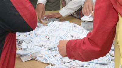 انتخابات الرئاسة 2018| 12 ألف 859 صوتاً للسيسي مقابل 254 لموسى بجزيرة شندويل في سوهاج