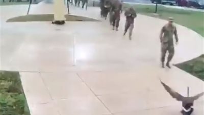 فيديو| 