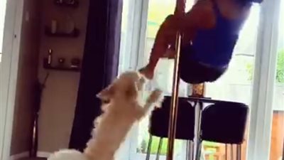 فيديو| رد فعل صادم لكلب لحظة رقص صاحبته يشعل 