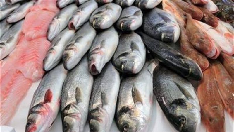 أسعار الأسماك 