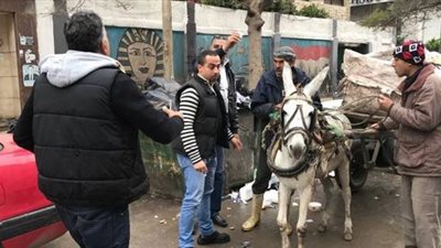 شكاوي أهالي حي وسط الإسكندرية من انتشار النباشين بالشوارع 