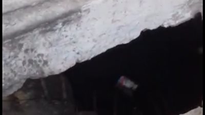 بوابة المواطن تقتحم 