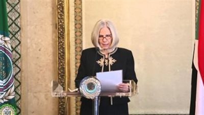 بعثة الجامعة العربية تشكر حملتي السيسي وموسى مصطفى على التعاون خلال انتخابات الرئاسة