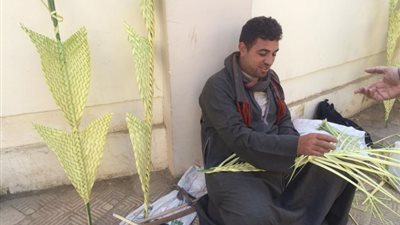 الأقباط يتوافدون على احتفال أحد السعف بكنائس سوهاج