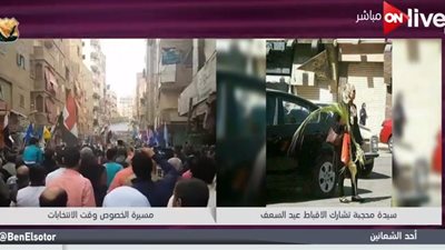 أماني الخياط تعرض صورة لسيدة محجبة تحتفل بعيد السعف