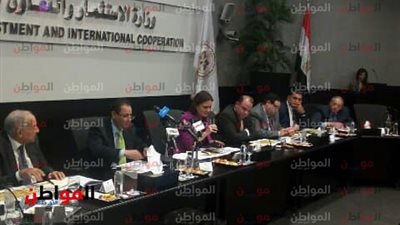 فيديو| وزيرة الاستثمار: نتعاون كفريق عمل واحد للنهوض بالاقتصاد المصري