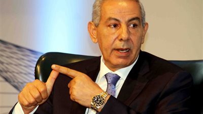 الشركات تشيد بقرار وزير التجارة حول دخول السيارات الكهربائية لمصر