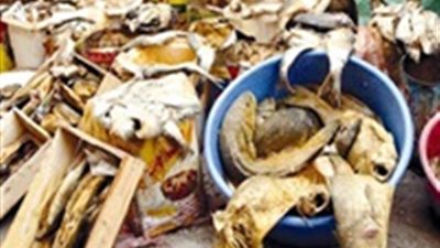 ضبط طن ونصف رنجة فاسدة بالغربية قبل شم النسيم 