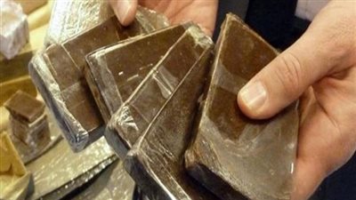 سقوط تاجر مخدرات بالطالبية بحوزته 12 طربة حشيش