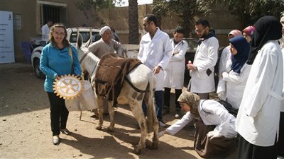صور..لأول مرة روتاري يطلق قافلة بيطرية بالتعاون مع طب بطري جامعة القاهرة
