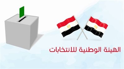 هاني لاشين: جموع المصريين جسدوا ملحمة في حب مصر