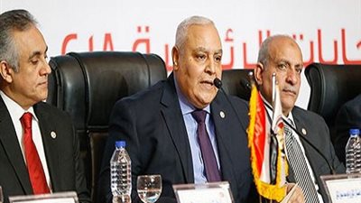 لاشين إبراهيم: لهيئة مارست دورها بالشكل القانوني 